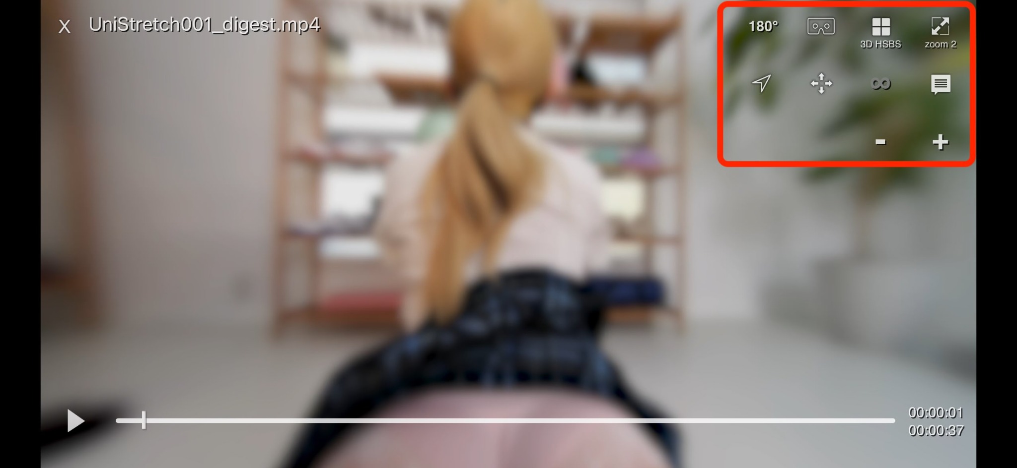 iPhoneだけで視聴する場合のVRPlayer設定画面